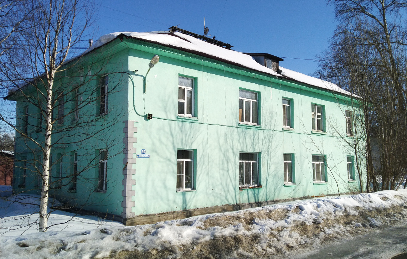 Архангельск, Локомотивная улица, 39