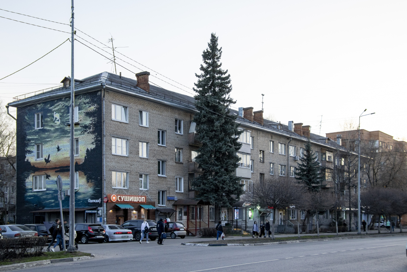 Пушкино, Московский проспект, 10 / Писаревский проезд, 1