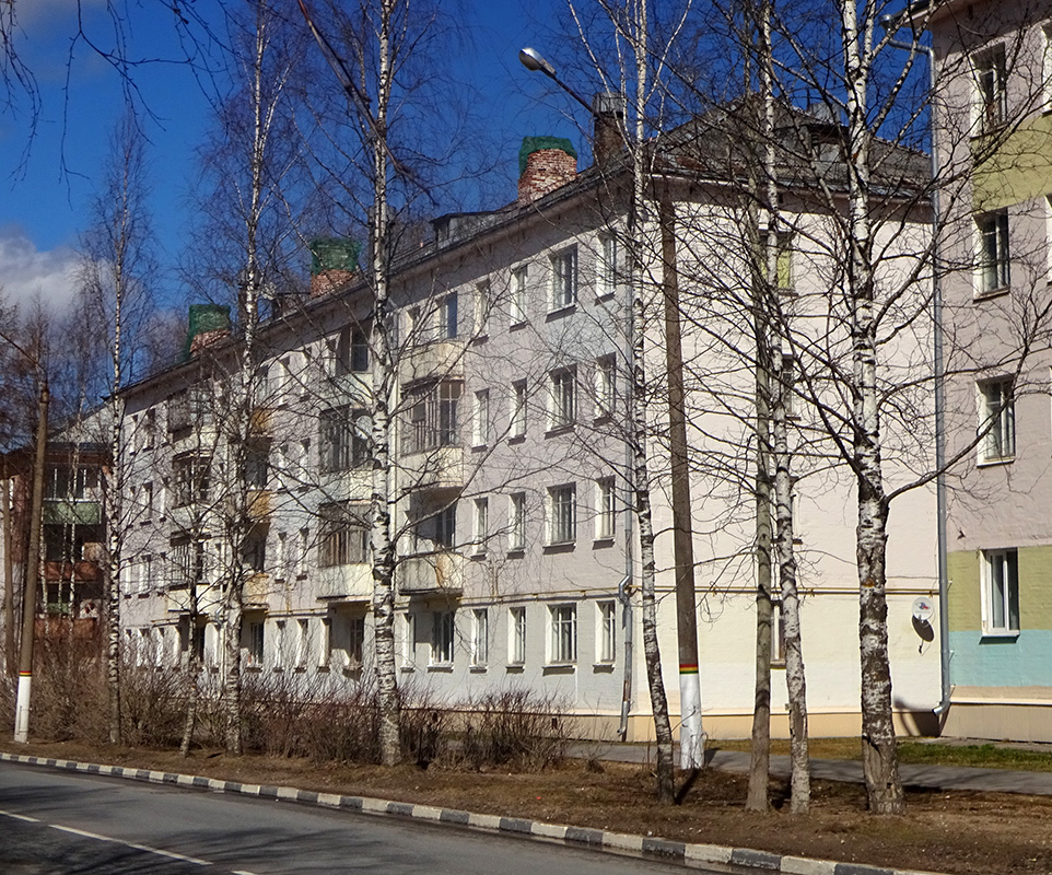 Мирный, Улица Ленина, 59