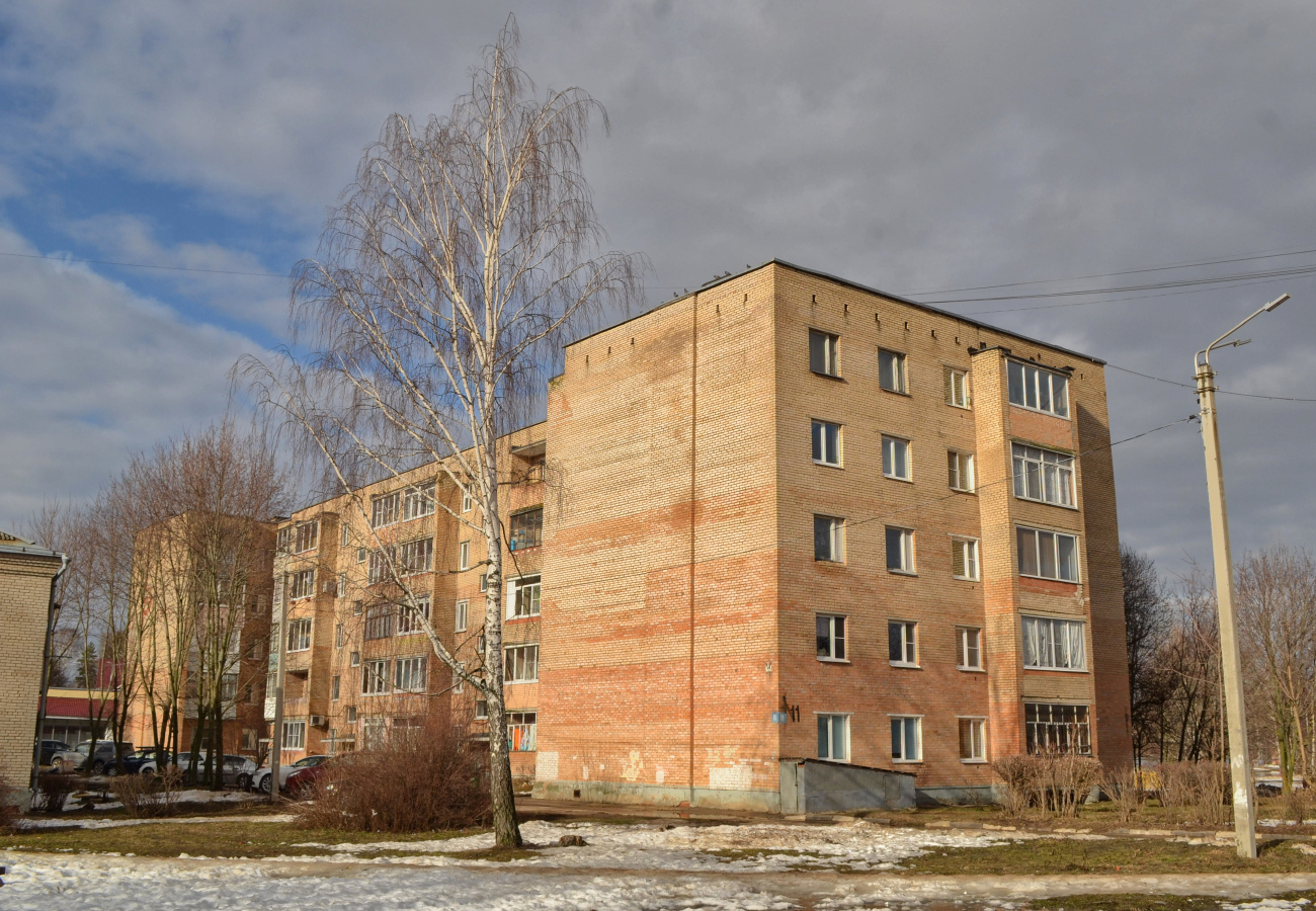 Сергиево-Посадский городской округ, прочие н.п., с. Шеметово, Микрорайон Новый, 11