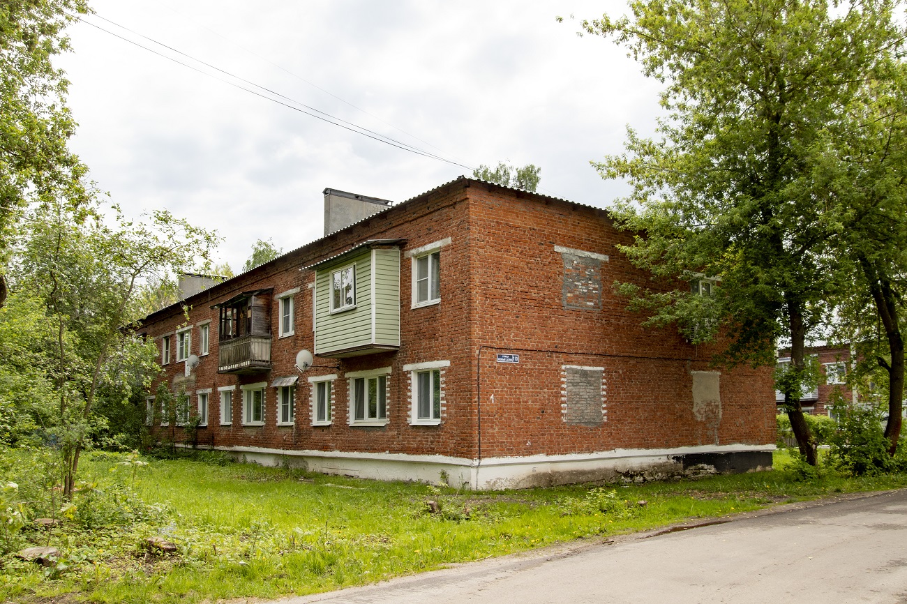 Городской округ Ступино, прочие н.п., дер. Дубнево, Улица Новые Дома, 10