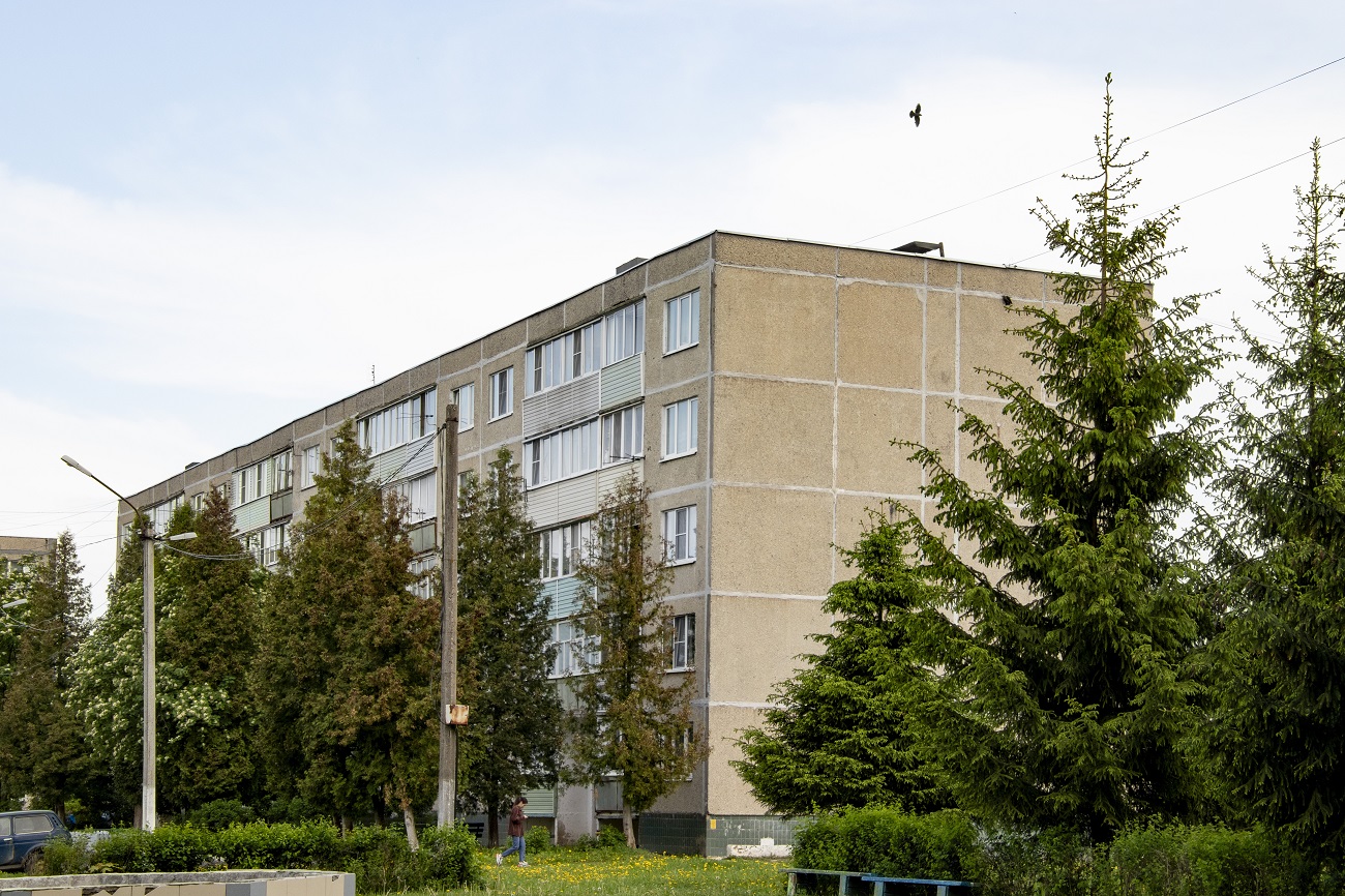 Городской округ Ступино, прочие н.п., дер. Дубнево, Улица Новые Дома, 5