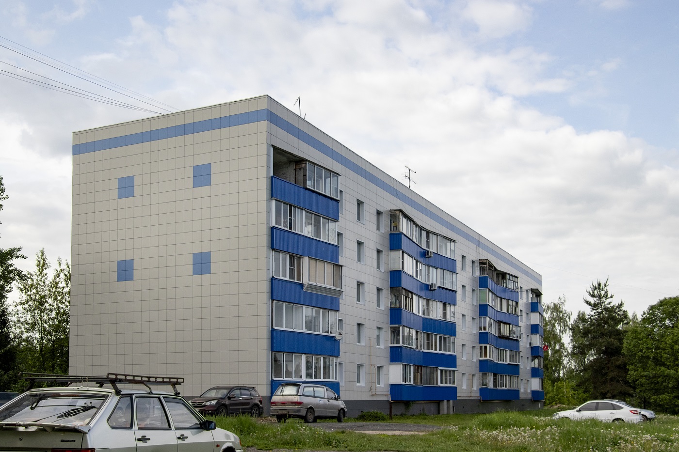 Городской округ Ступино, прочие н.п., дер. Дубнево, Улица Новые Дома, 1