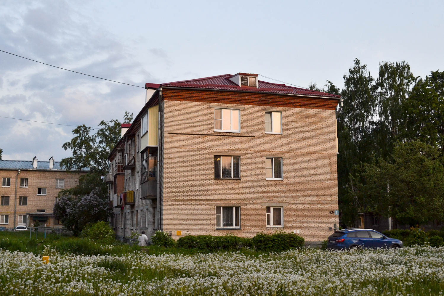 Сергиево-Посадский городской округ, прочие н.п., с. Шеметово, Микрорайон Новый, 9