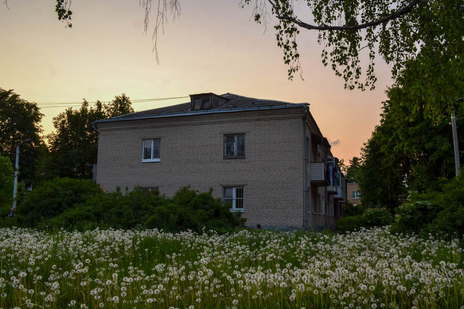 Сергиево-Посадский городской округ, прочие н.п., с. Шеметово, Микрорайон Новый, лит. Ж