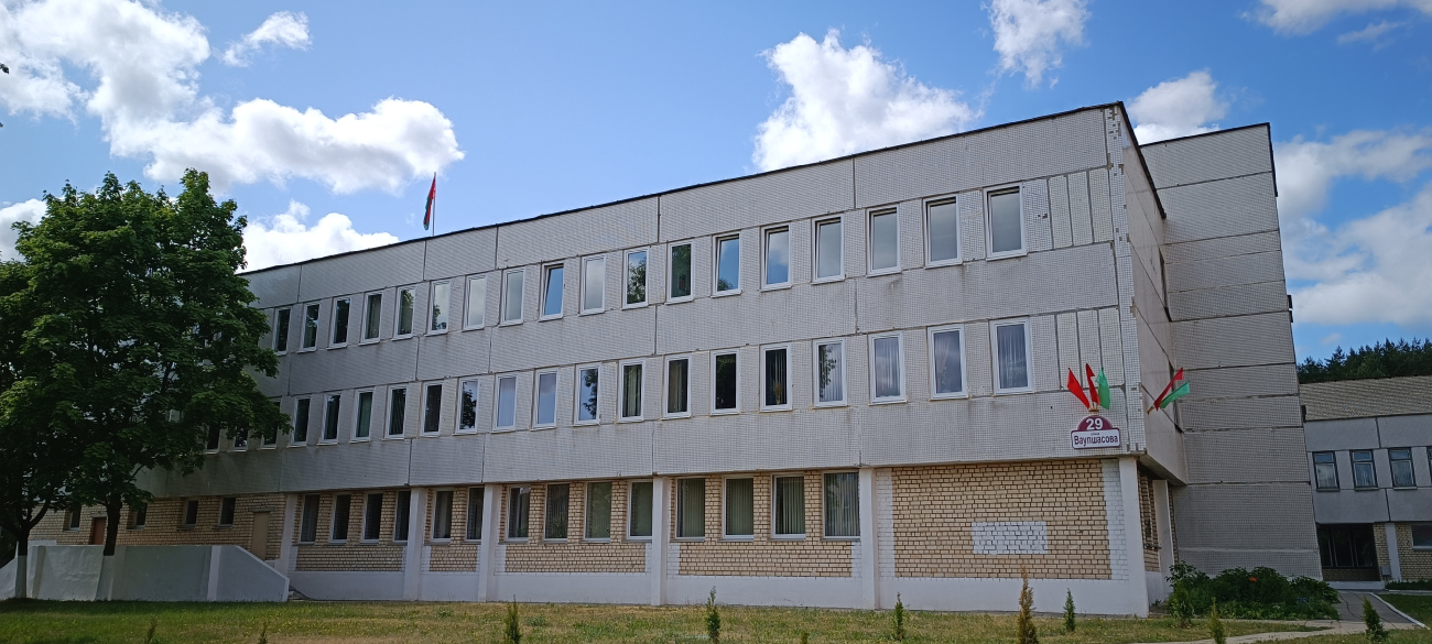 Минск, Улица Ваупшасова, 29