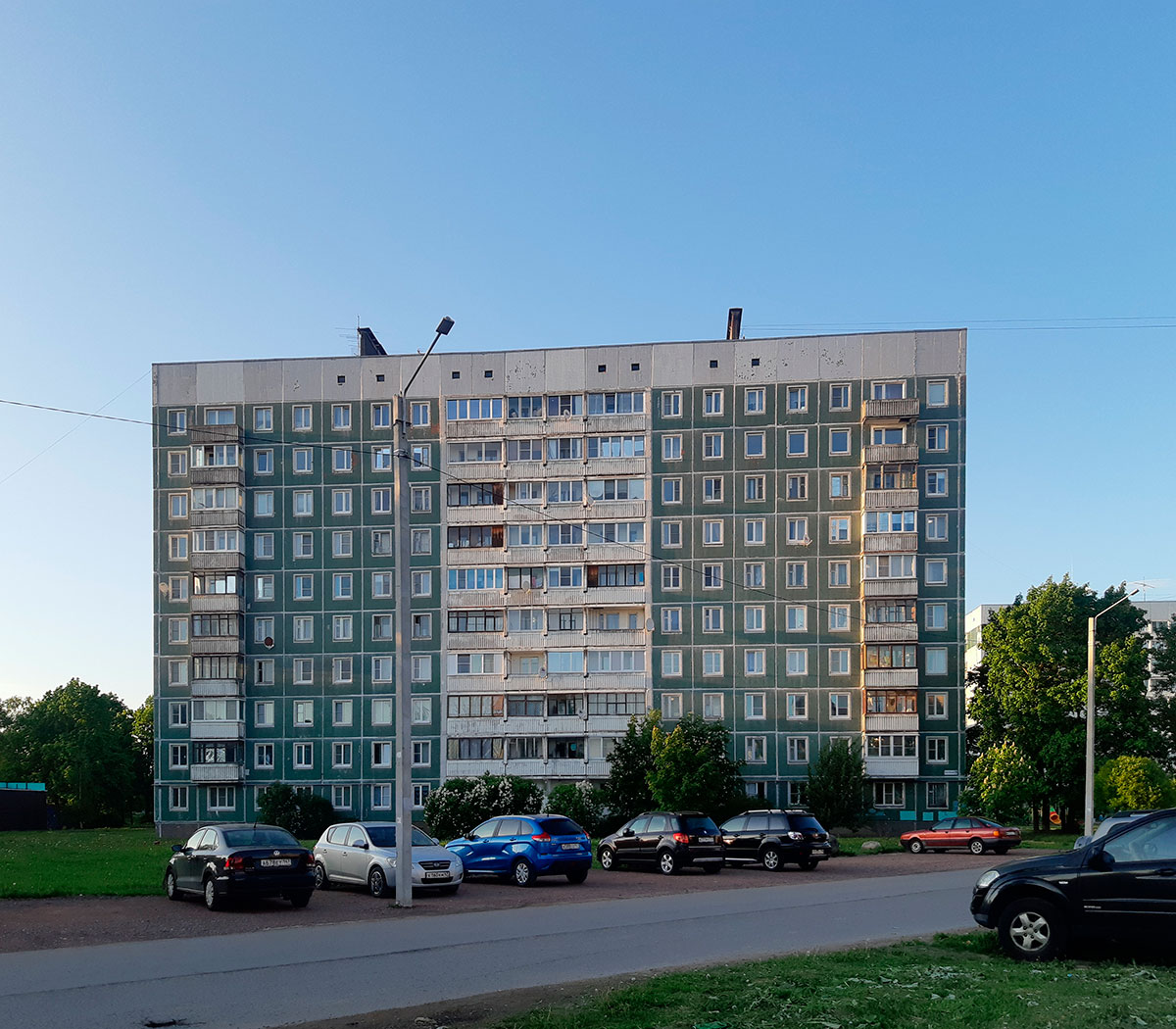 Ломоносовский район, прочие н. п., Русско-Высоцкое, 26