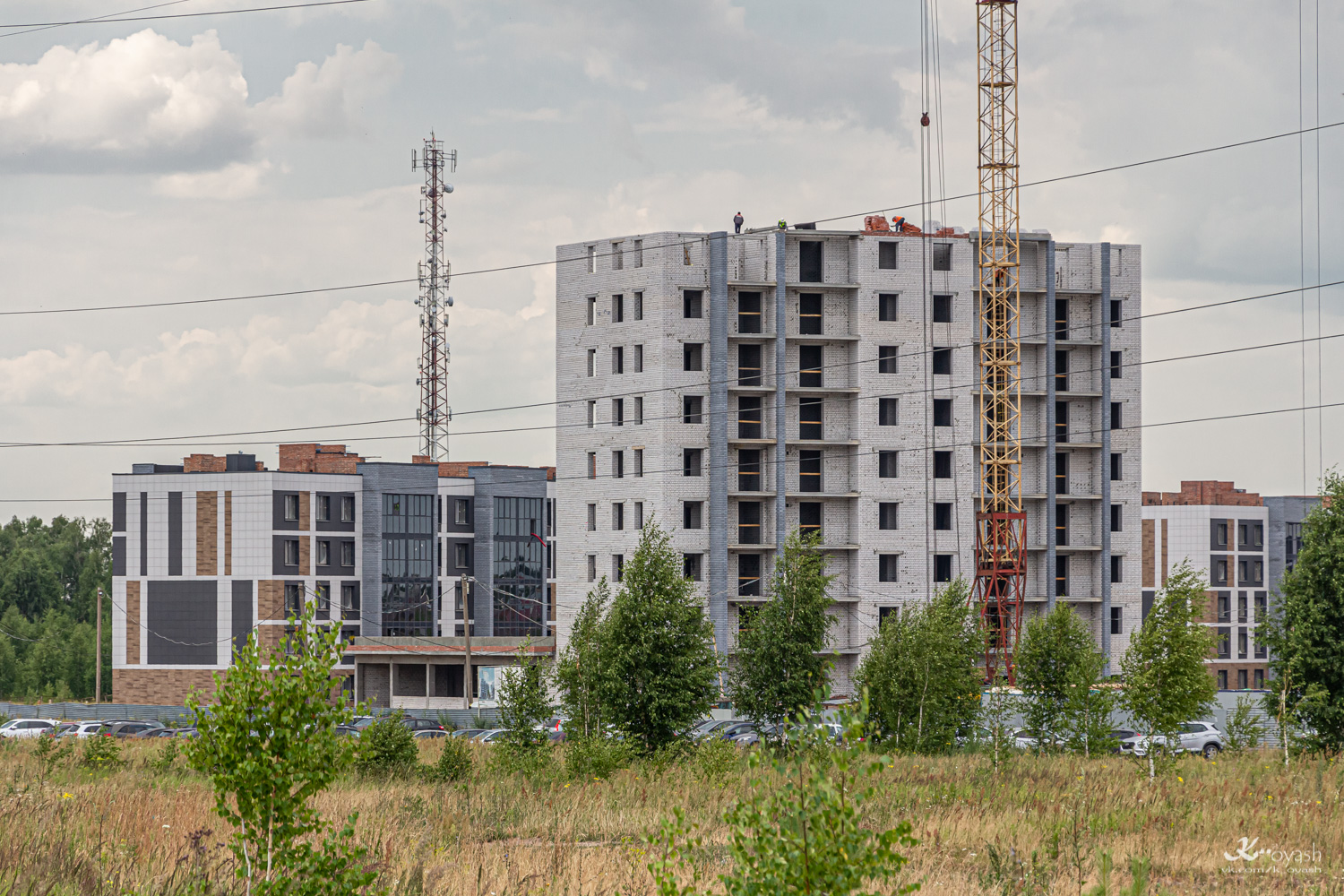 Осиново, Сельская улица, 5 стр