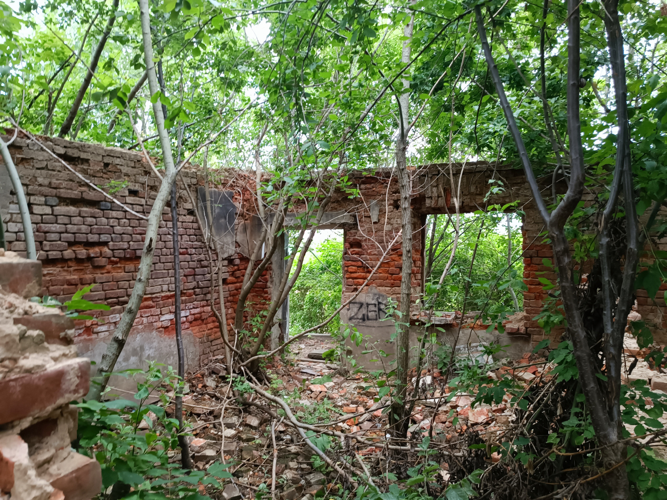 Минск, Улица Чижевских, 18
