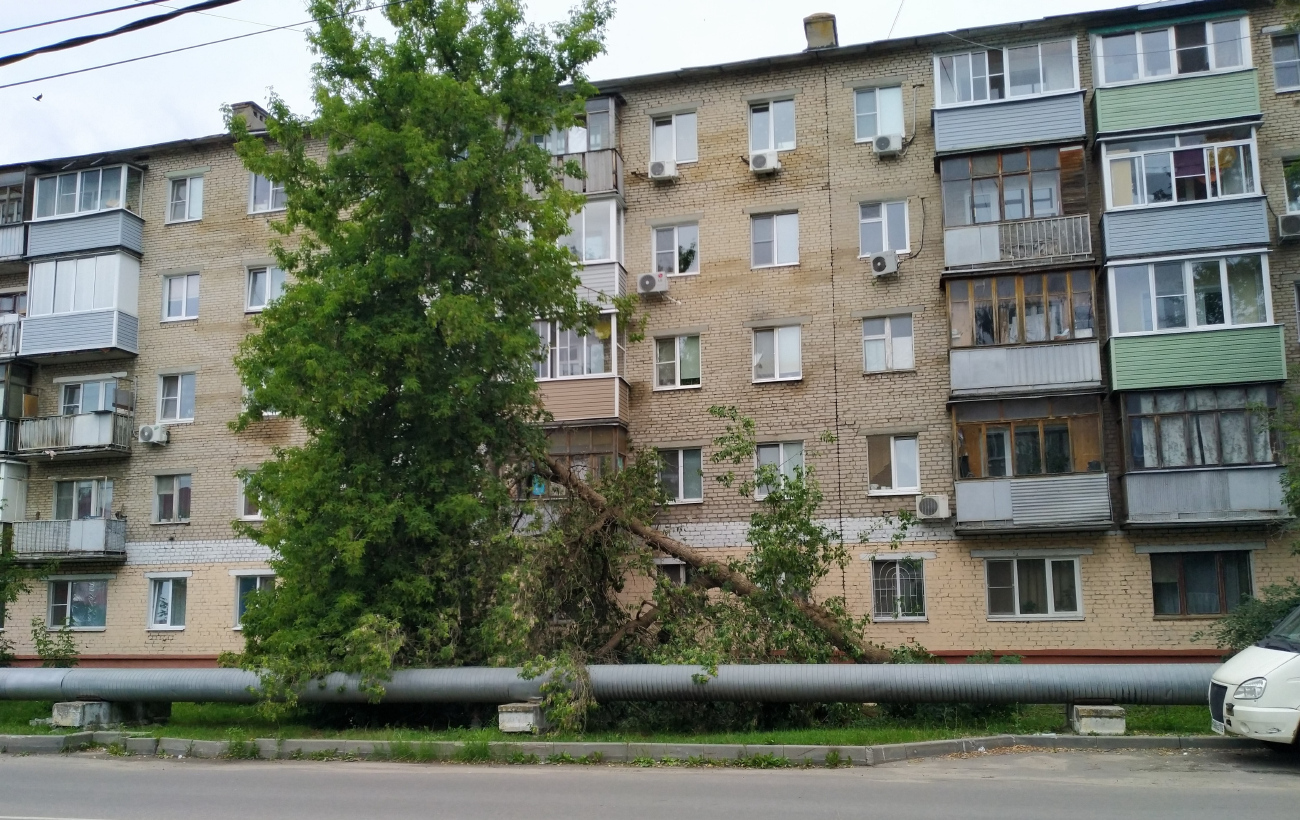 Коломна, Огородная улица, 88