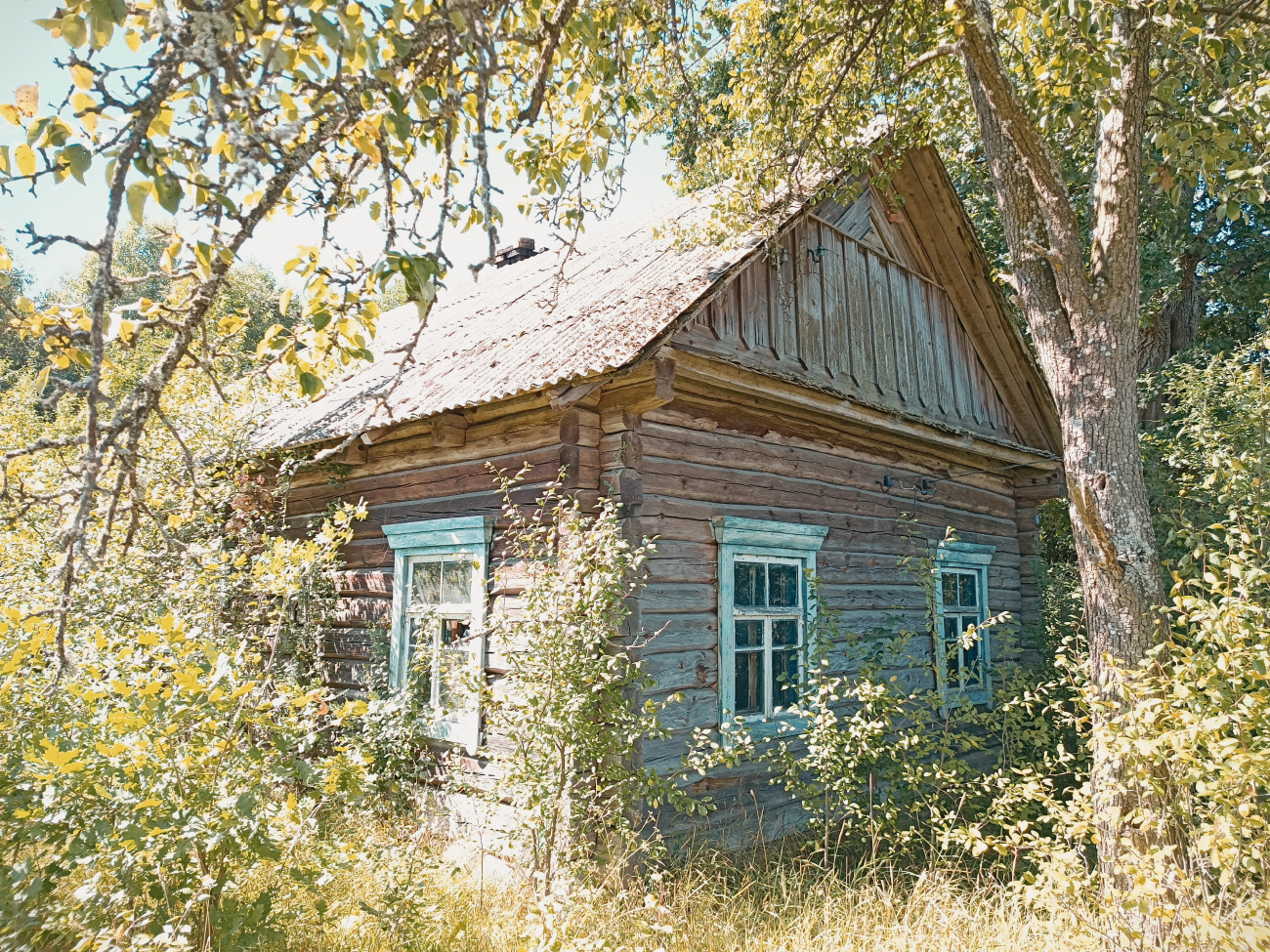Житковичский район, прочие н.п., Юркевичи, Школьная улица, 47