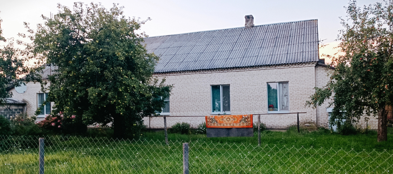 Житковичский район, прочие н.п., Боровая, Садовая улица, 40