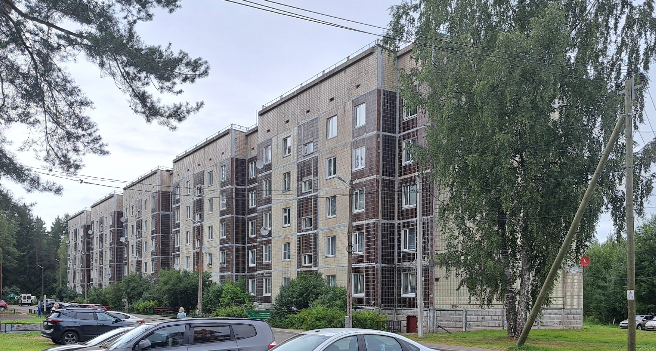 Всеволожский район, прочие н. п., Ненимяки, 116
