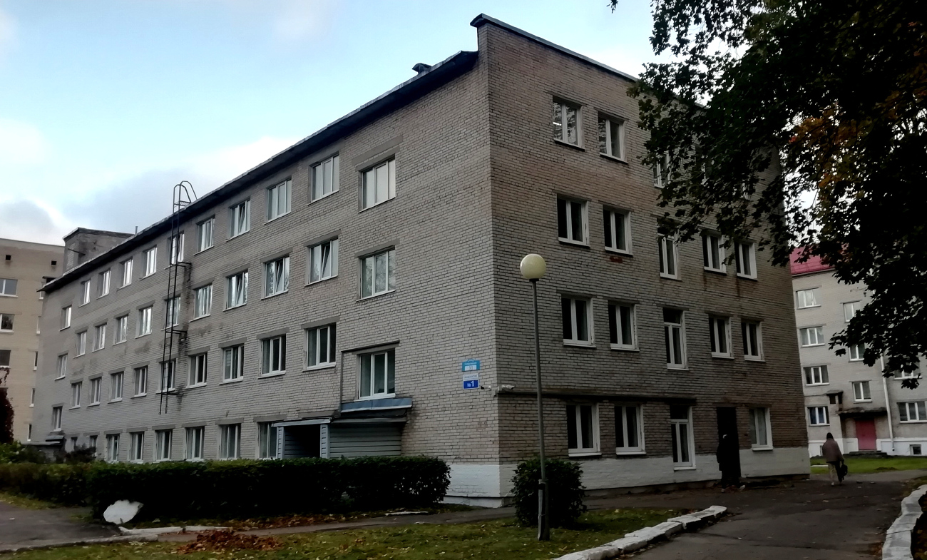 Лужесно, Спортивная улица, 3Д