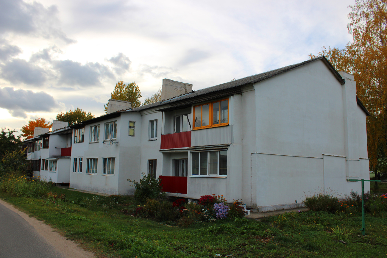 Колодищи, Лесная улица, 31