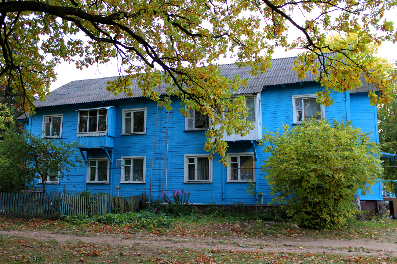 Колодищи, Центральная улица, 2