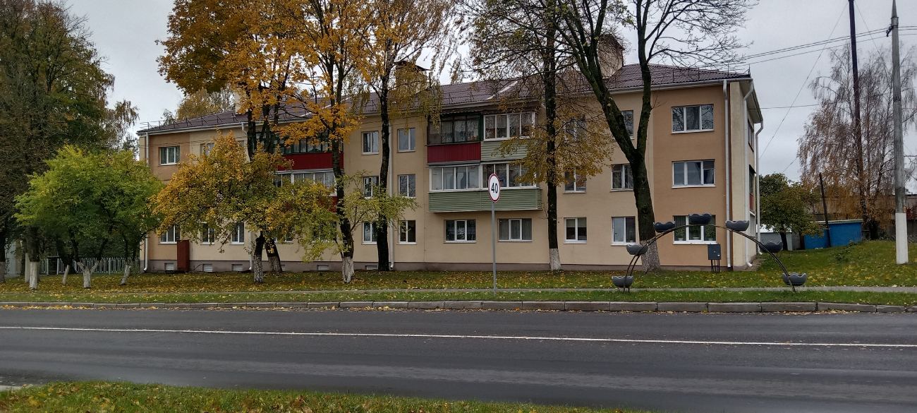 Несвиж, Ленинская улица, 135