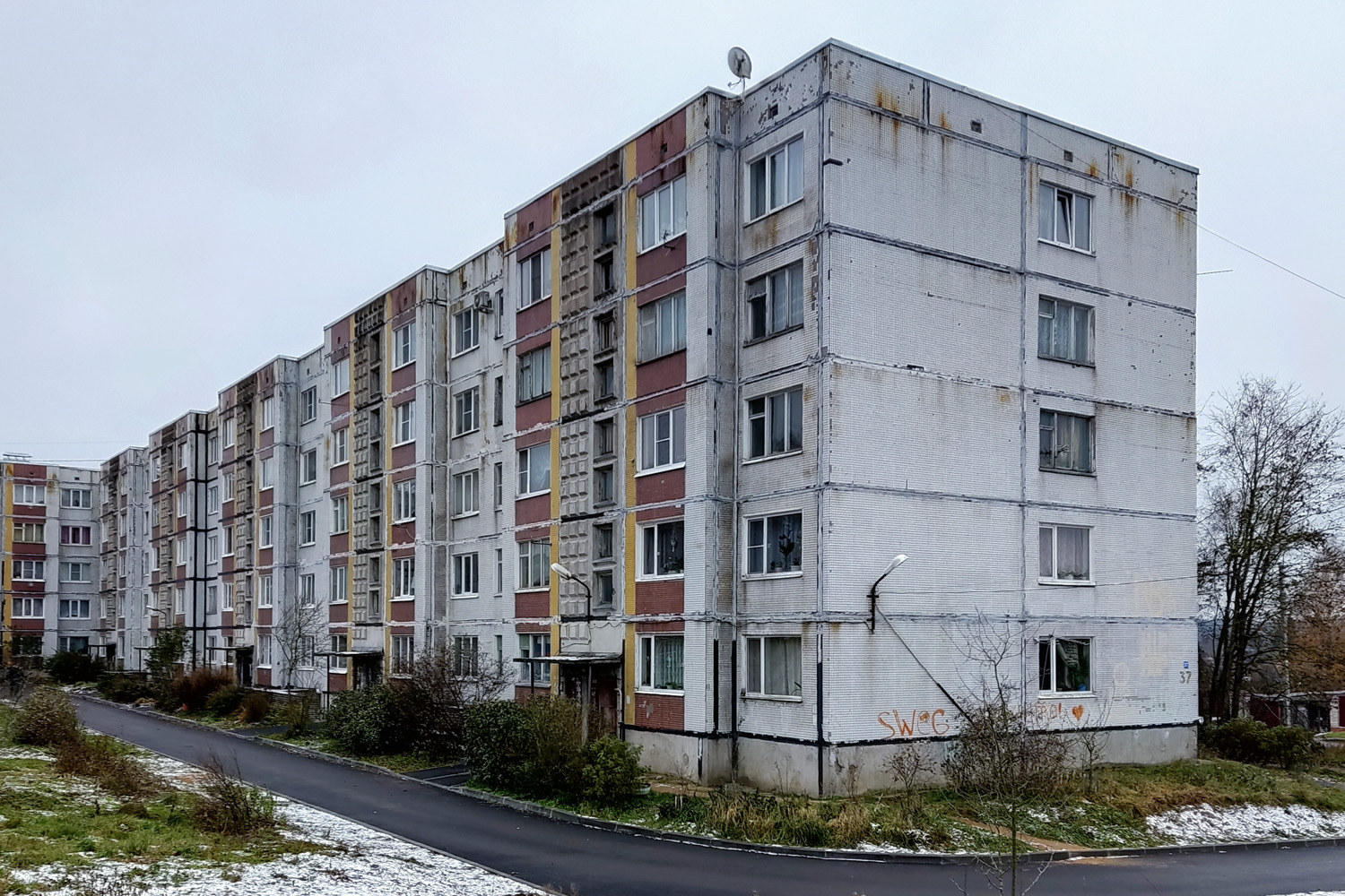 Выборгский район, прочие н. п., Красная Долина, 37