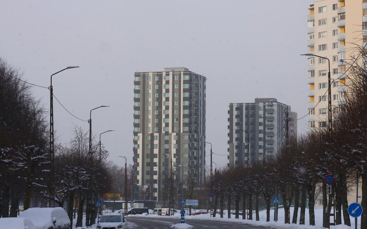 Tallinn, Päevalille, 19