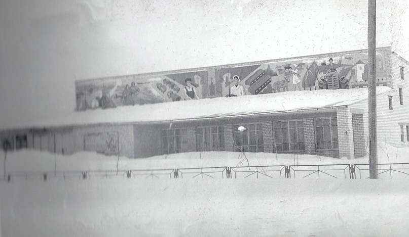 Заполярный район, прочие н.п., с. Великовисочное, 42А