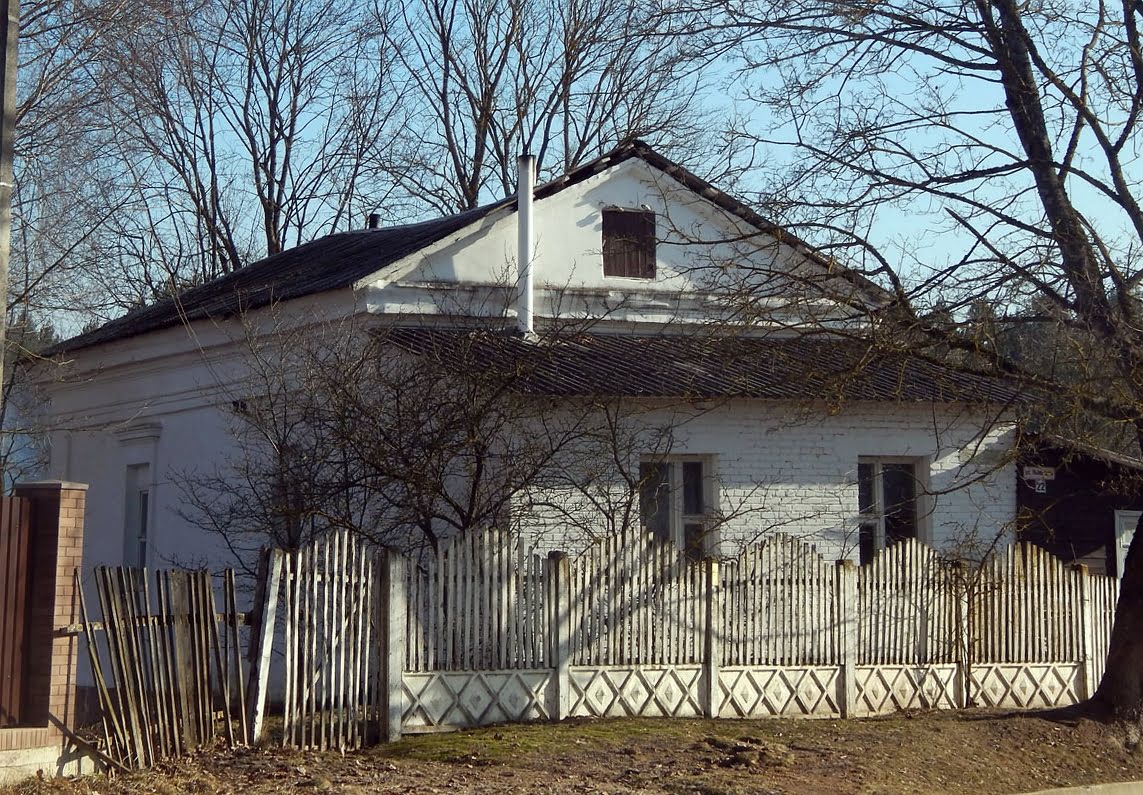 Лужесно, Улица Лынькова, 22