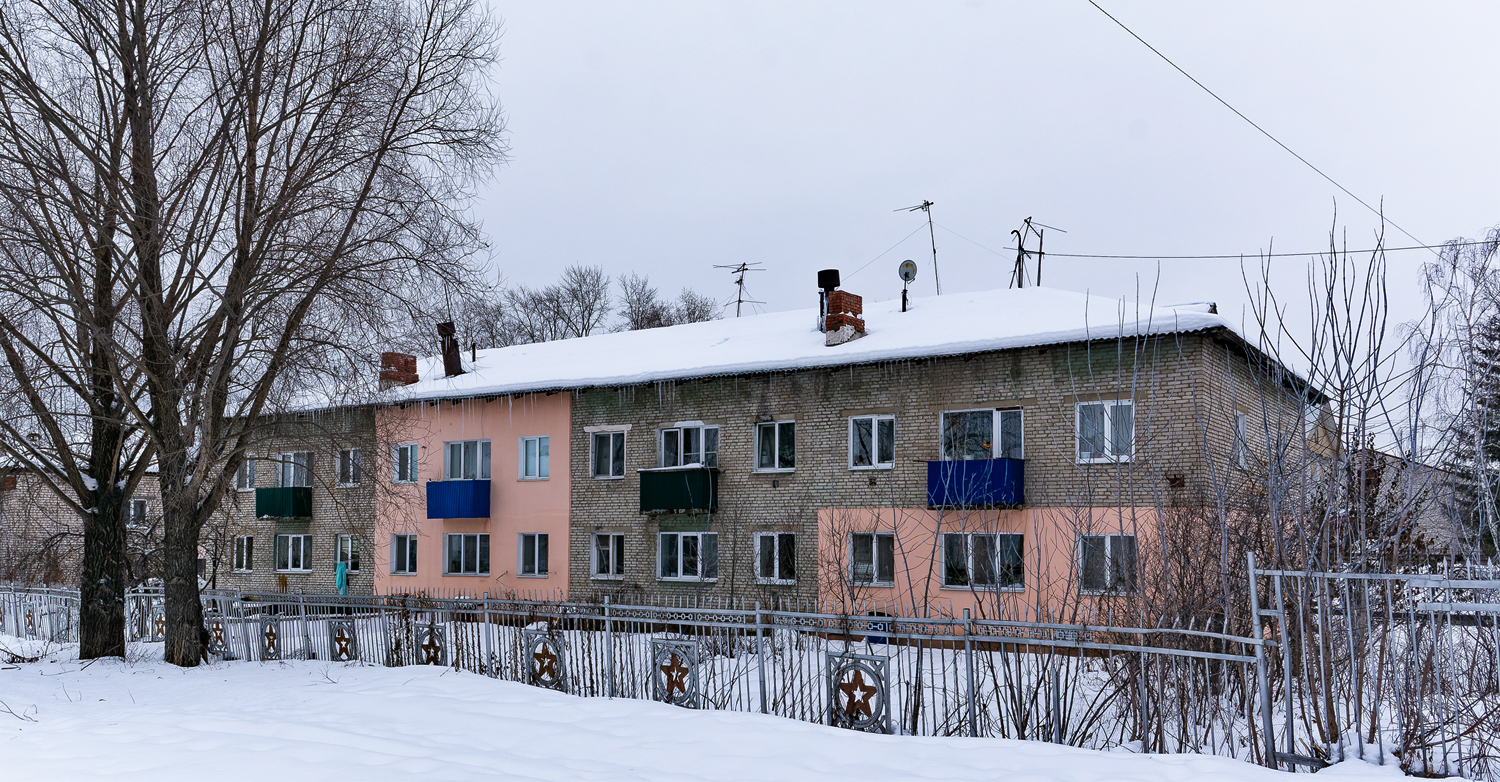 Уфимский район, прочие н.п., с. Дмитриевка, Советская улица, 1
