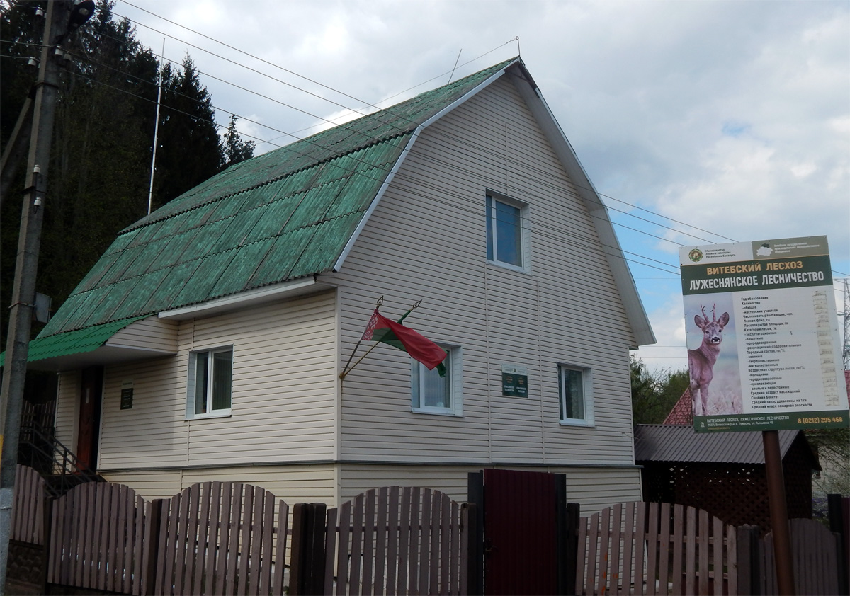 Лужасна, Улица Лынькова, 49