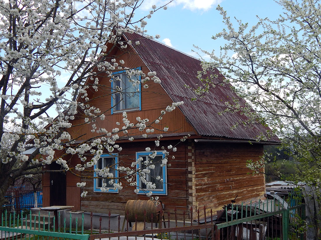 Лужесно, Улица Лынькова, 44