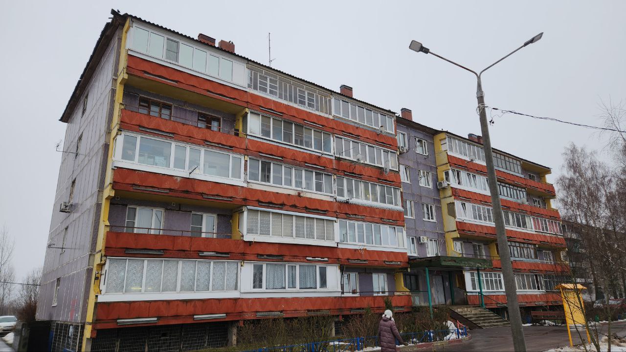 Богородский городской округ, прочие н.п., дер. Большое Буньково, Демонстрационная улица, 24