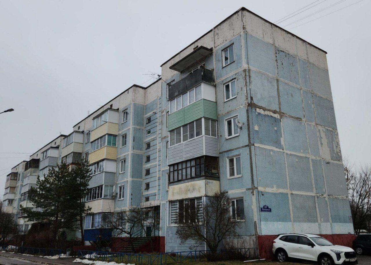 Богородский городской округ, прочие н.п., дер. Большое Буньково, микрорайон Фабрики, 47