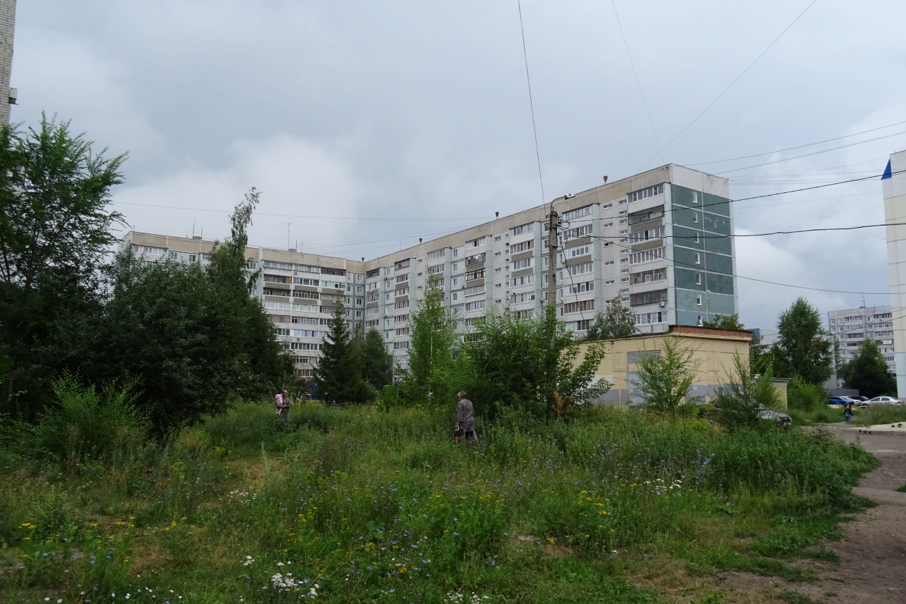 Ульяновск, Улица Рябикова, 106