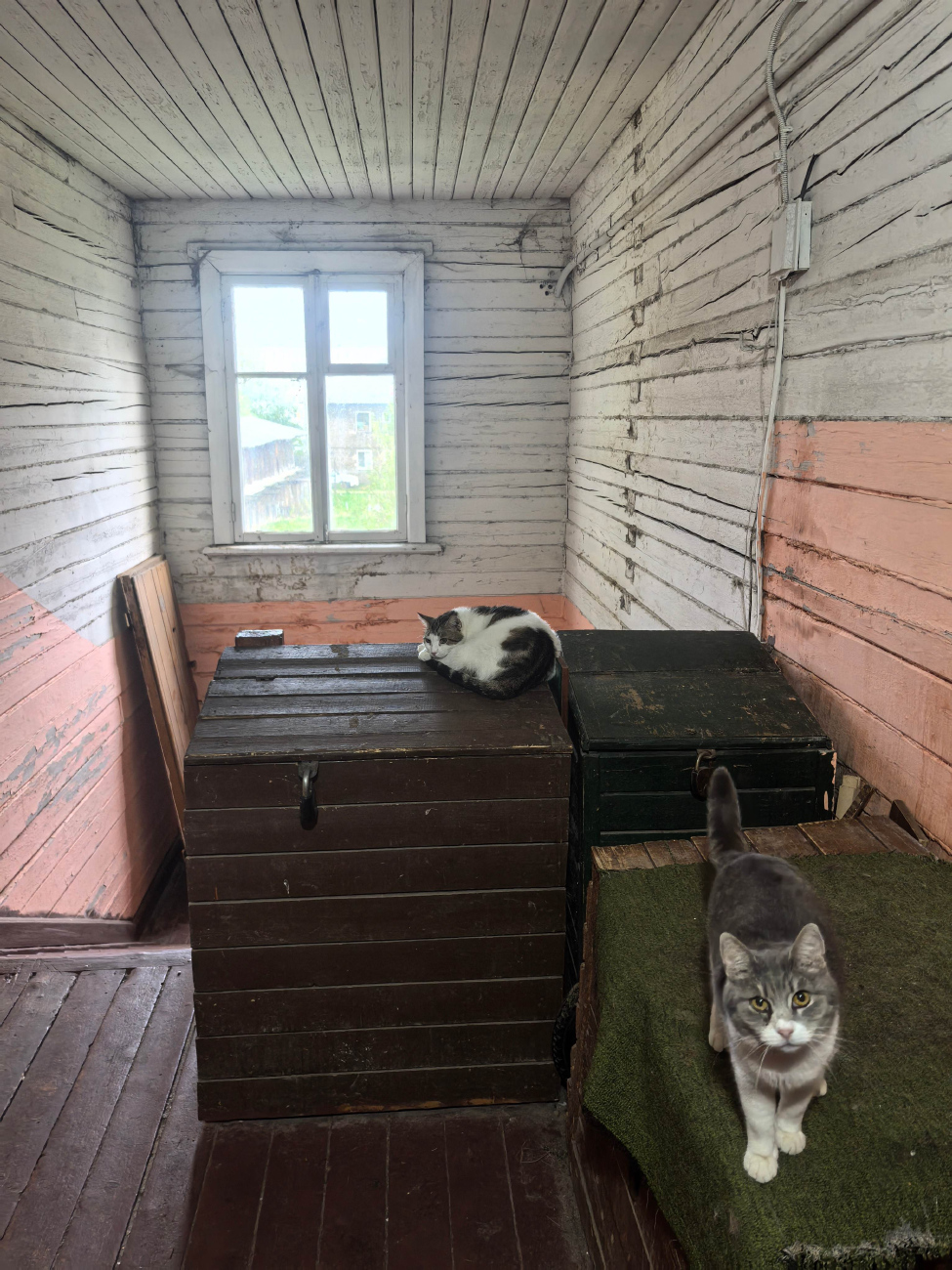 Вологда, Улица Болонина, 26