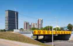 804 КБ