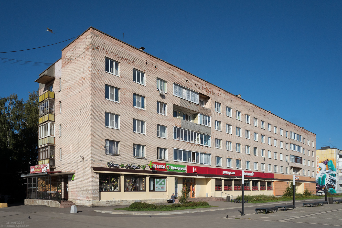 Ломоносовский район, прочие н. п., Лебяжье, Приморская улица, 75