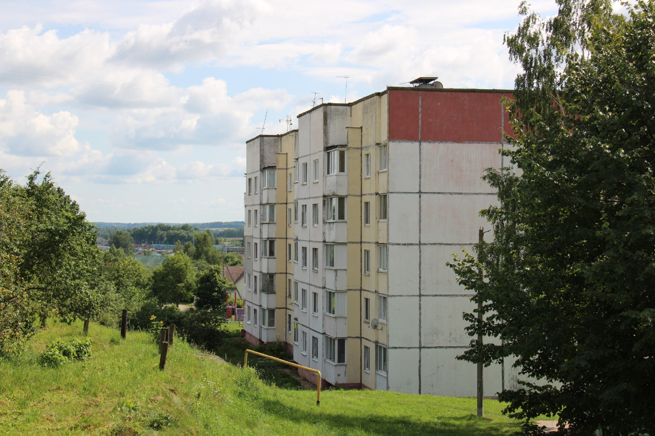 Петришки, Улица Гагарина, 9