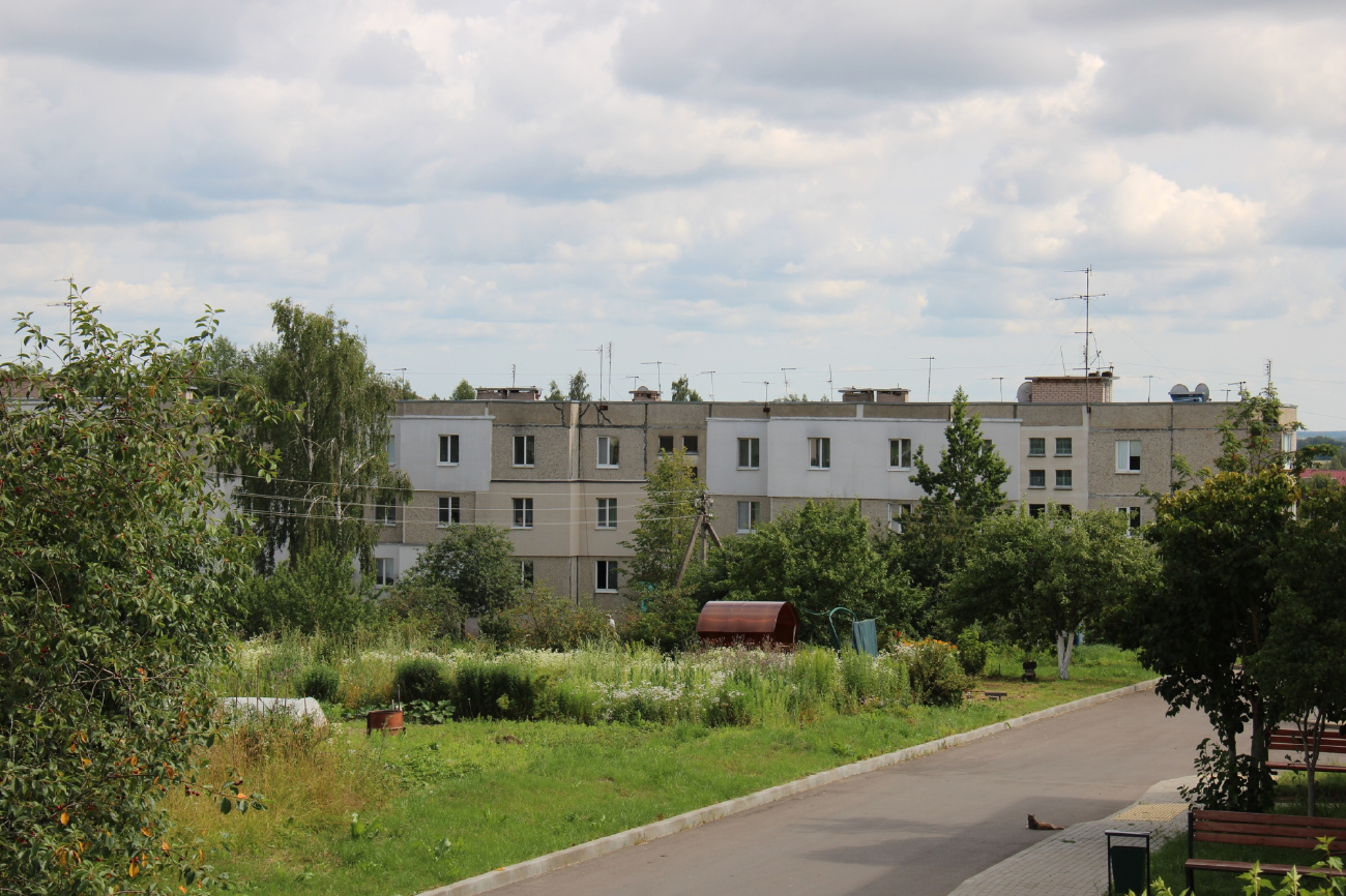 Минский район, прочие н. п., Петришки, Улица Гагарина, 7