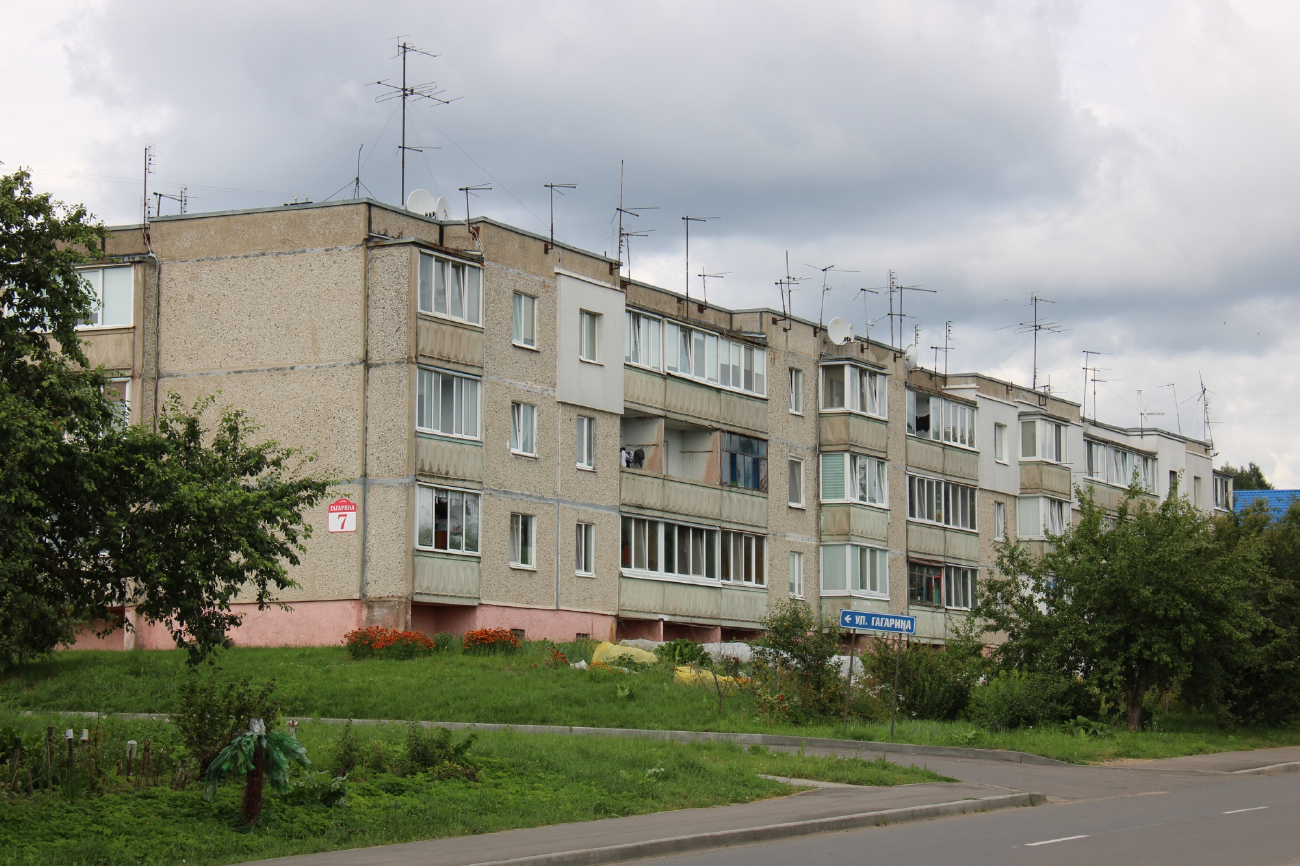 Минский район, прочие н. п., Петришки, Улица Гагарина, 7