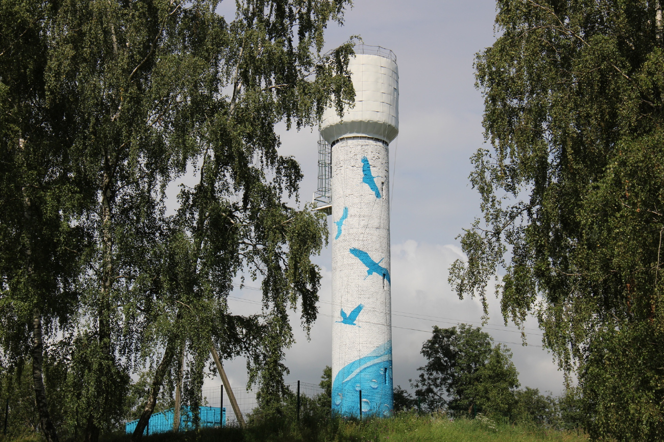 Петришки, Переулок Смолячкова, 8**