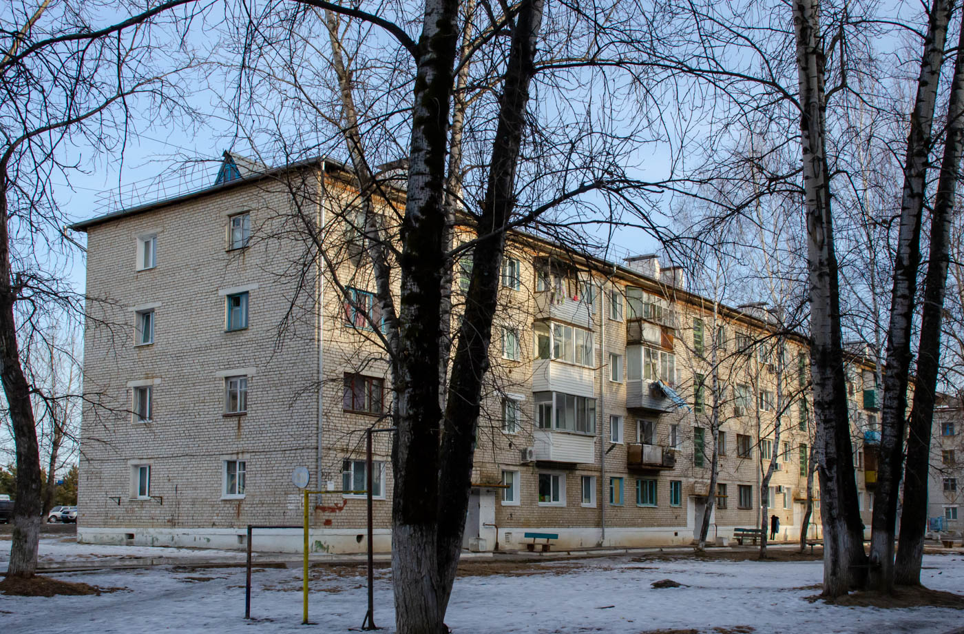 Циолковский, Улица Победы, 220