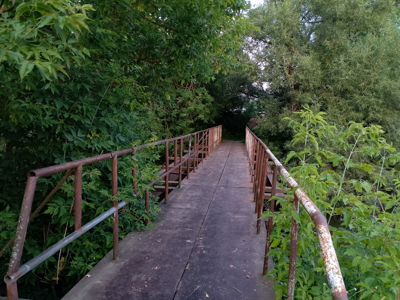 Поселение Десёновское, Дер. Десна, СНТ Дружба