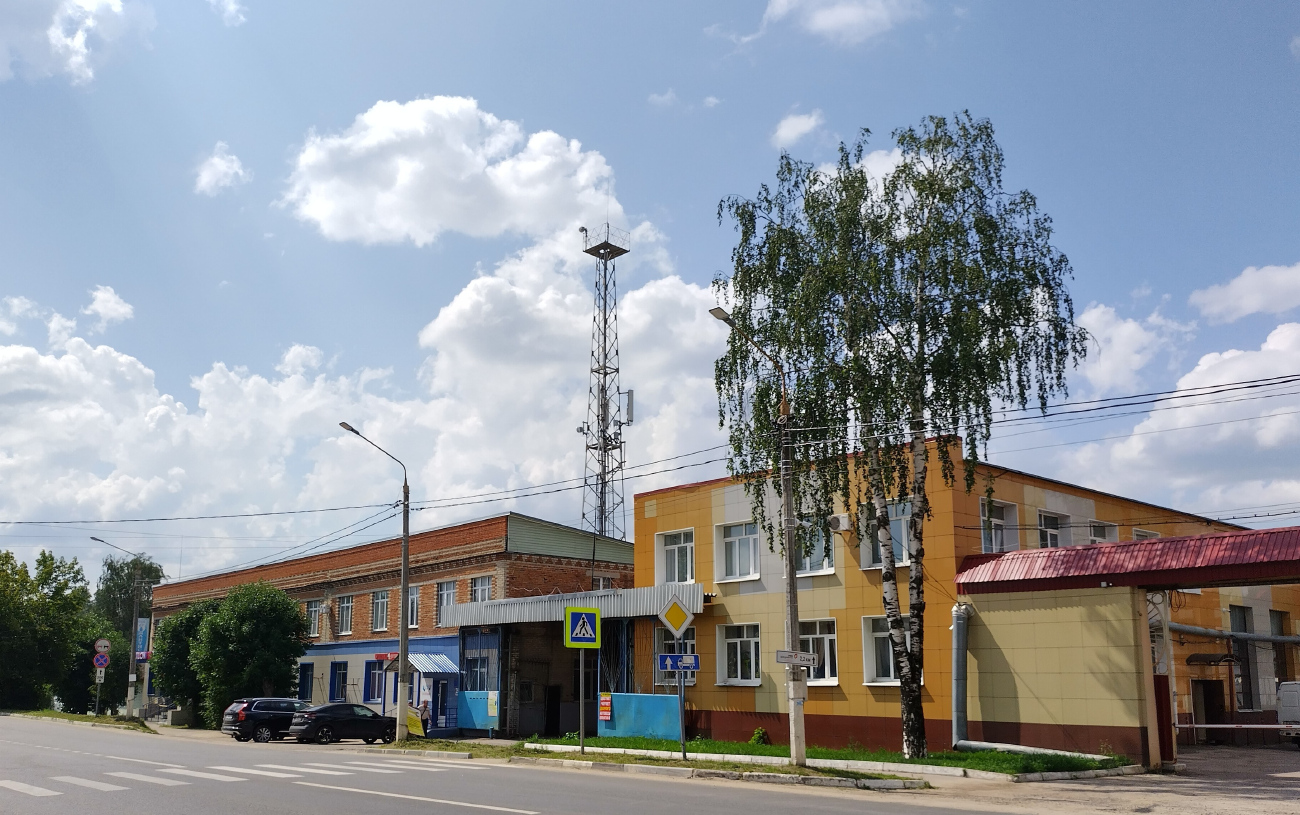 Егорьевск, Владимирская улица, 29; Владимирская улица, 31 (хозяйственный корпус)