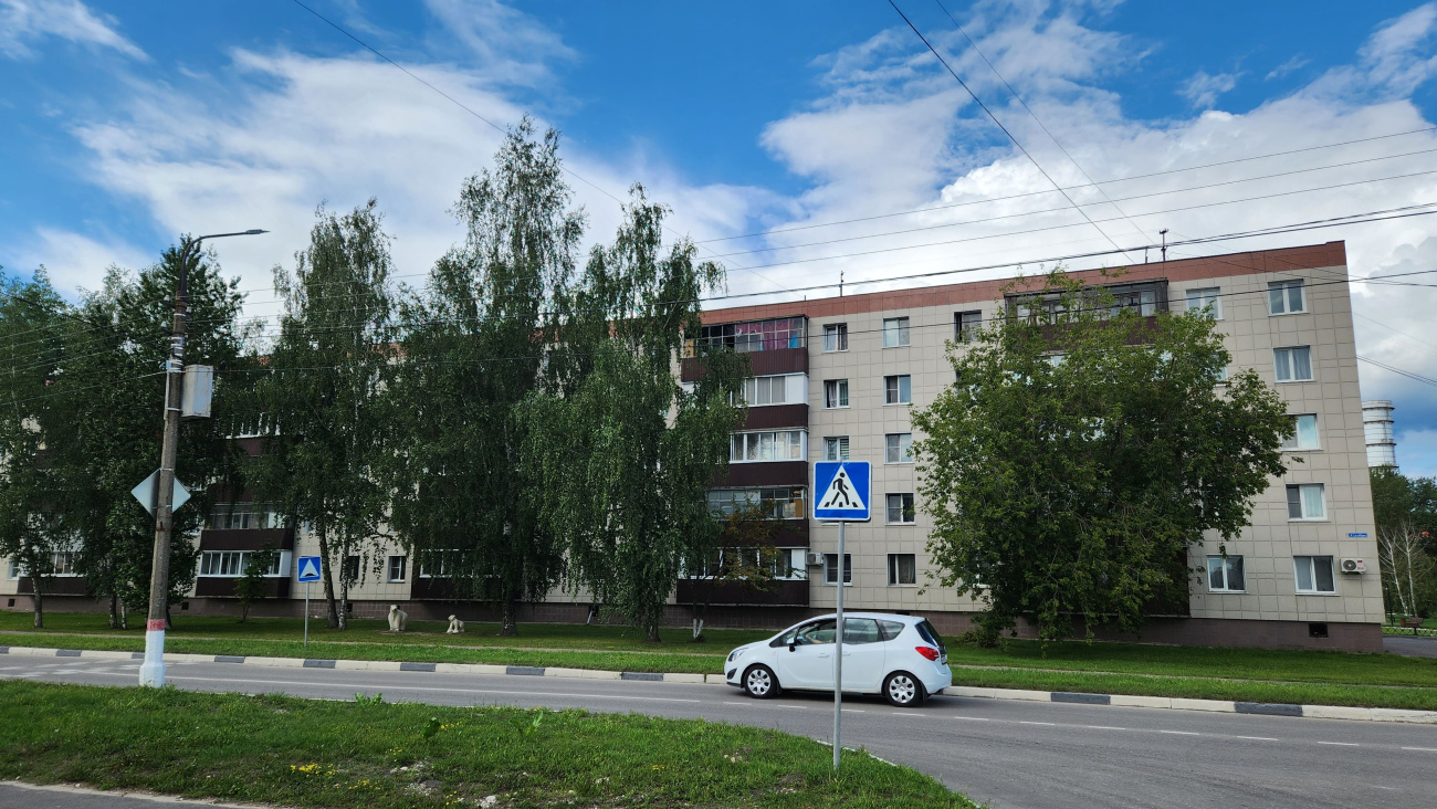 Электрогорск, Улица Горького, 4