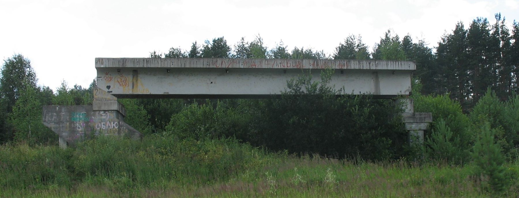 Кинешма, Заволжская улица, путепровод