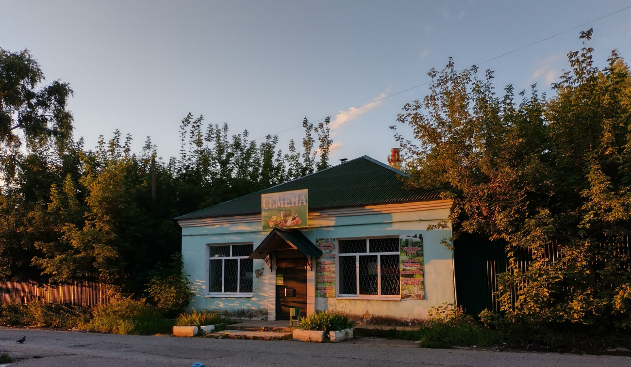 Коломна, Огородная улица, 91