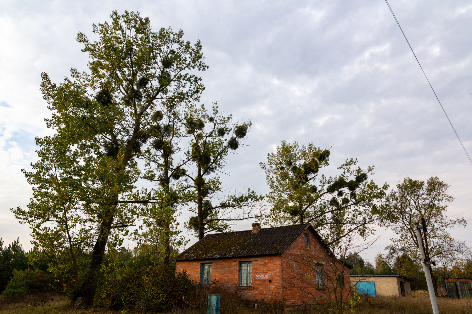 Пинский район, прочие н.п., Качановичи, Улица Ленина, 5