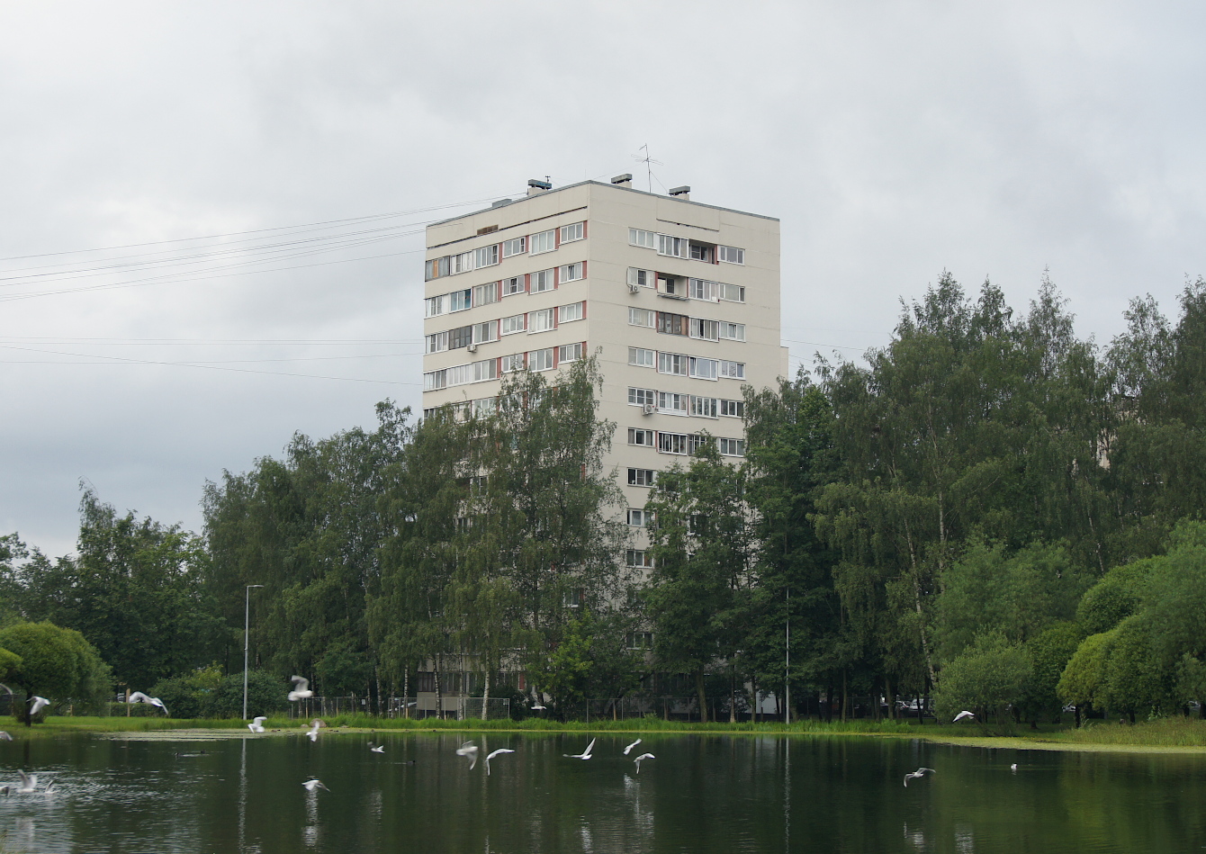 Санкт-Петербург, Проспект Луначарского, 92