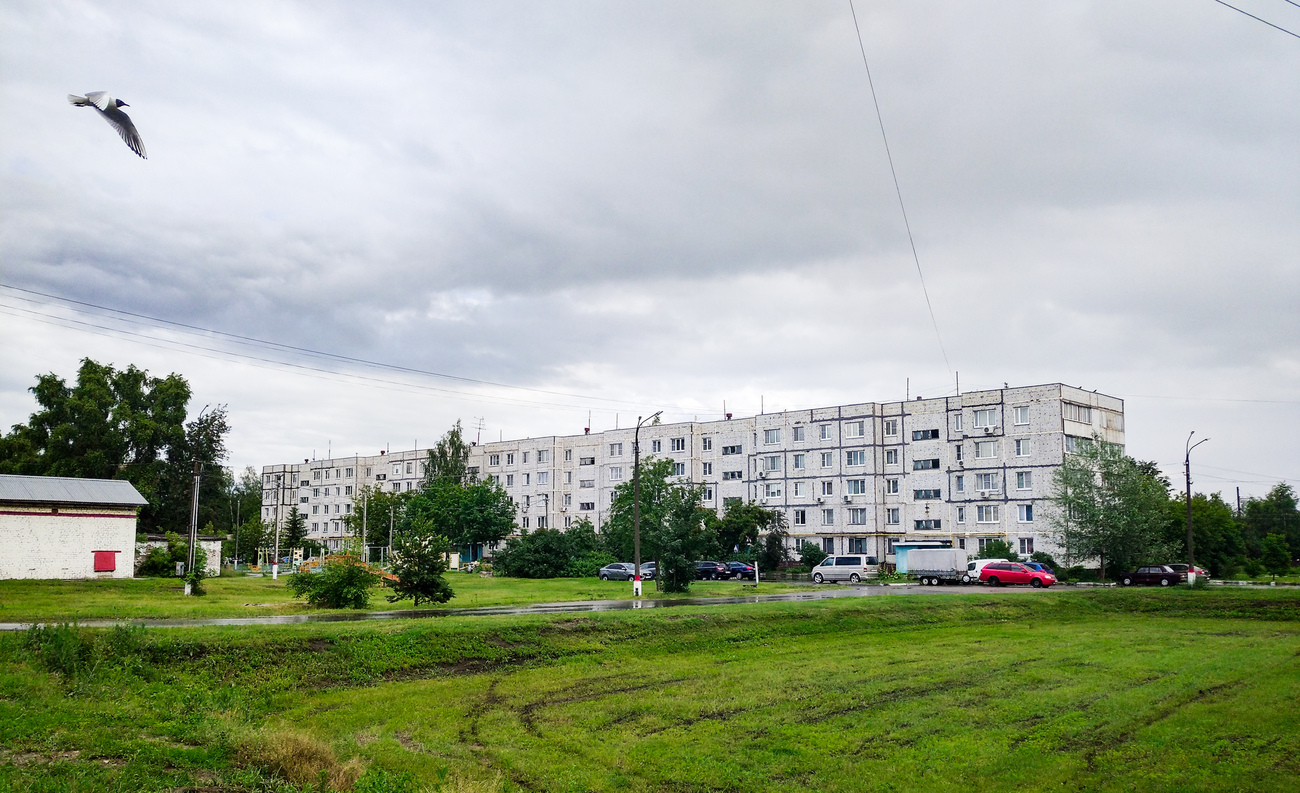Электрогорск, Советская улица, 37А