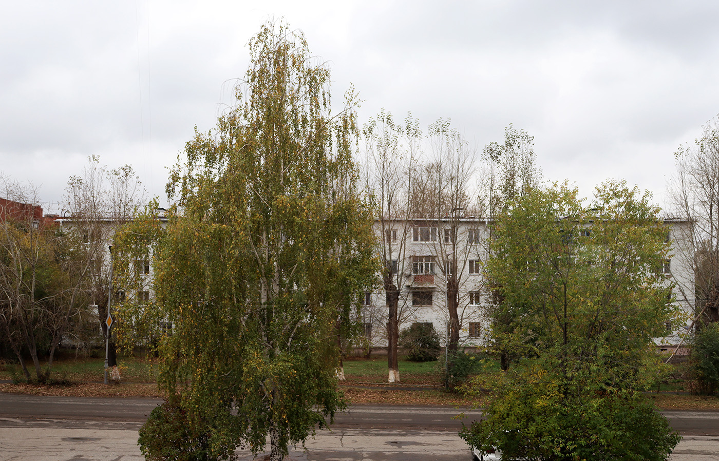 Омск, Улица Алексея Полторацкого, 56А