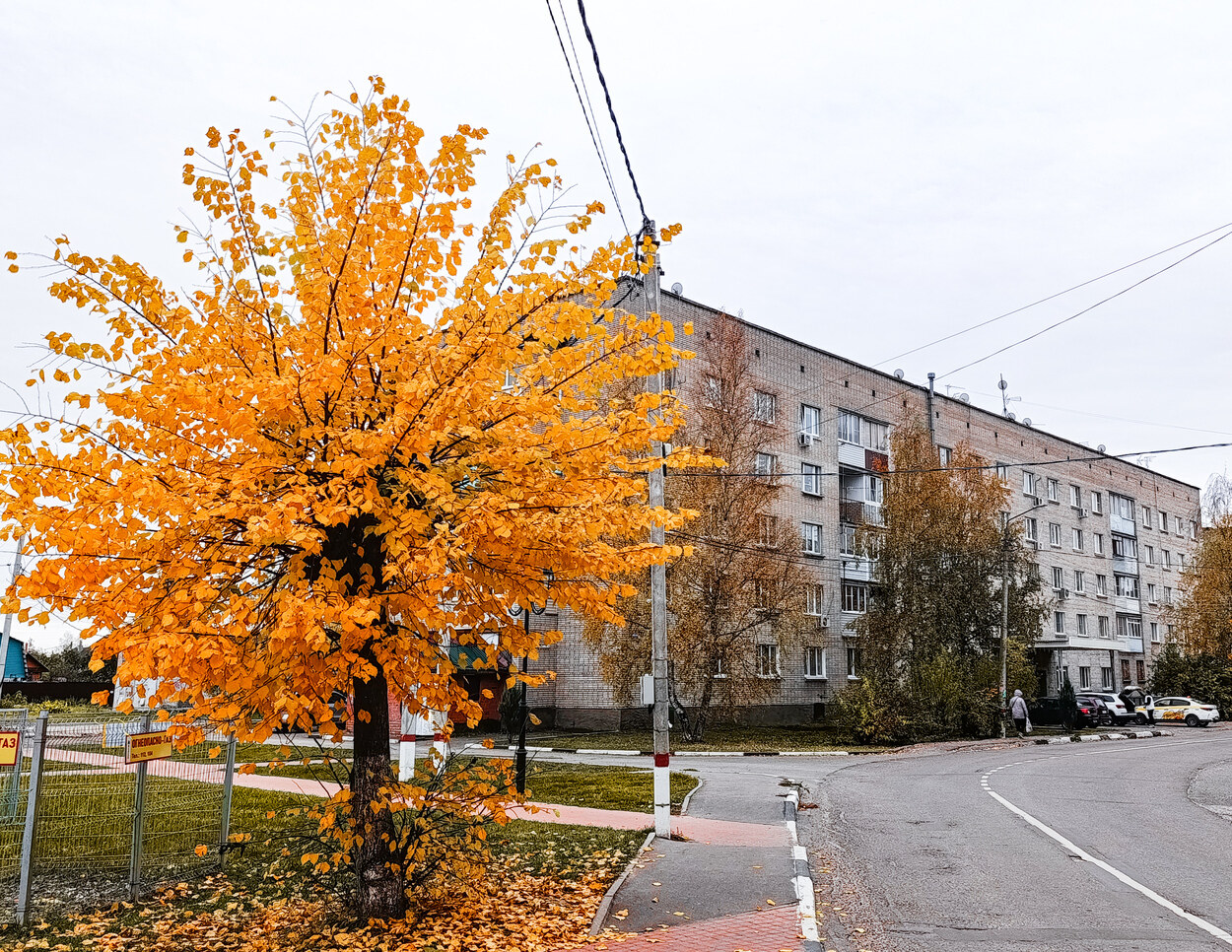 Большие Дворы, Спортивная улица, 15