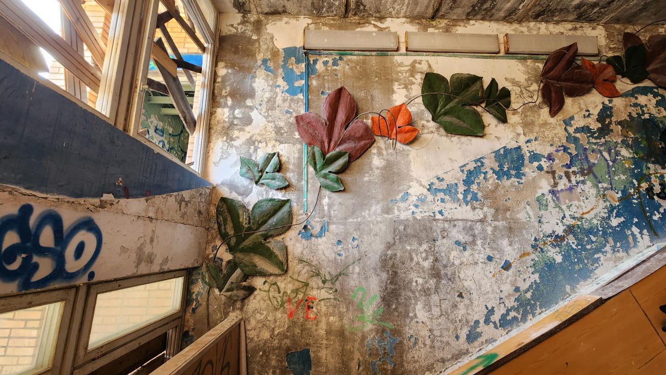 Дмитровский муниципальный округ, прочие н.п., дер. Горки, 4*